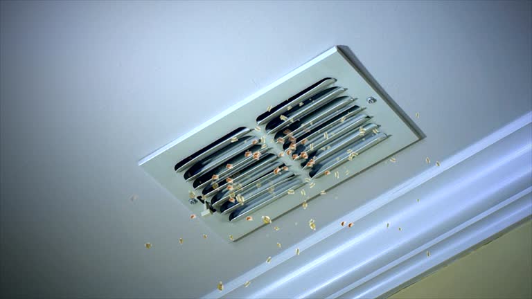 HVAC System Cleaning in Lisle, IL