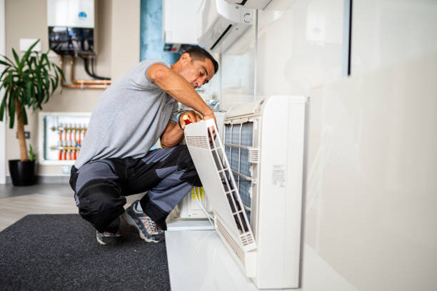 Best Duct Cleaning for Homes  in Lisle, IL